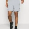 Nike Performance Herren FLEX SHORT 2.0 - Kurze Sporthose - Particle Grey/black