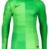 Nike Performance Herren Langarmshirt - Gruenschwarz