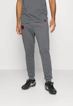 Nike Performance Herren PARIS ST. GERMAIN TRAVEL CL - Vereinsmannschaften - Dark Grey/black/siren Red