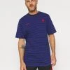 Nike Performance Herren FRANKREICH FFF AIR - T-Shirt Print - Blackened Blue/deep Royal Blue/university Red
