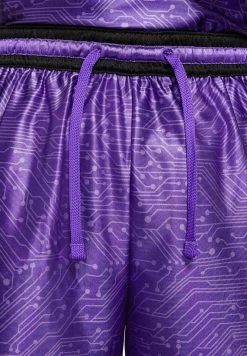 Nike Performance BASKETBALL LEBRON X SPACE JAM GOON SQUAD - Kurze Sporthose - Grau | Herren 13 Nike Performance BASKETBALL LEBRON X SPACE JAM GOON SQUAD - Kurze Sporthose - Grau | Herren -Angebote Nike Store 169f7a56a7da462a82ce08ce479b6f88