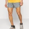 Nike Performance Herren STRIDE - Kurze Sporthose - Smoke Grey/black/silver