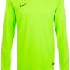 Nike Performance Herren Torwarttrikot - Light Green