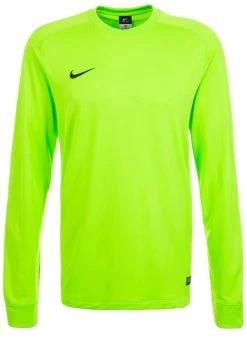Nike Performance Herren Torwarttrikot - Light Green
