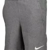 Kinder NIKE PERFORMANCE FUSSBALL - TEAMSPORT TEXTIL - SHORTS PARK FLEECE - Kurze Sporthose - Grauweiss