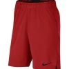 Nike Performance Herren FUSSBALL - Shorts - Rotschwarz