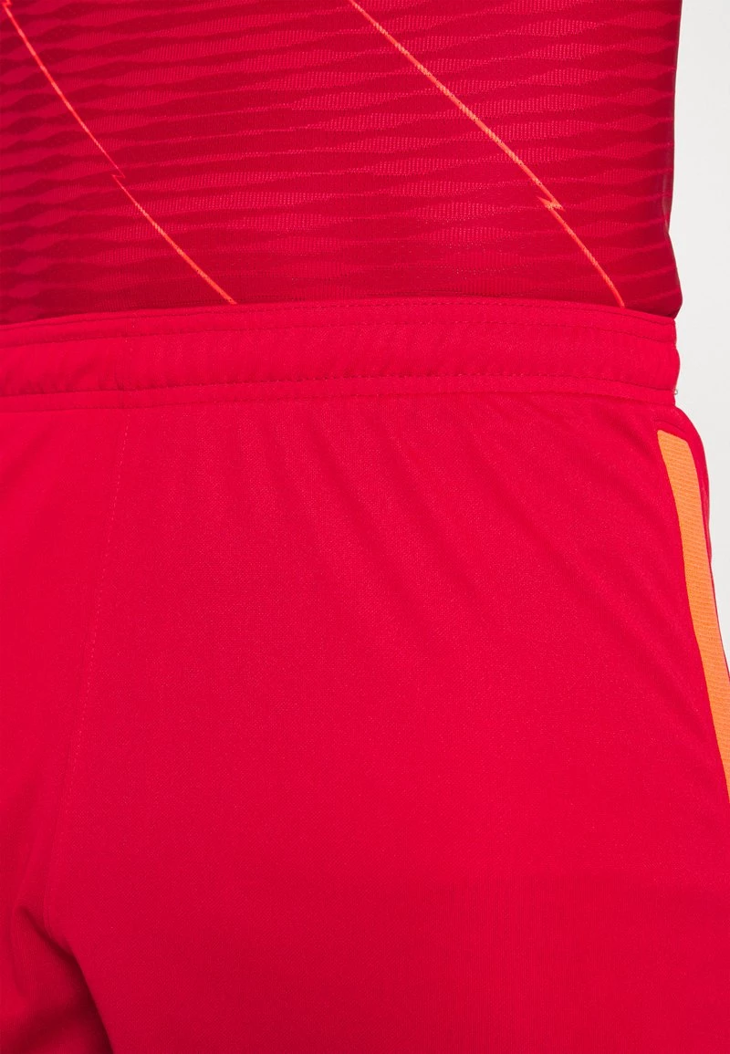 Nike Performance Herren FC LIVERPOOL STADIUM SHORT - Vereinsmannschaften - Gym Red/fossil 4 Nike Performance Herren FC LIVERPOOL STADIUM SHORT - Vereinsmannschaften - Gym Red/fossil – Bild 4