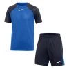 Nike Performance SET UNISEX - Kurze Sporthose - Blue/black