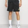 Nike Performance Herren SHORT FREAK - Kurze Sporthose - Black/cinnabar