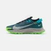 Nike Performance PEGASUS TRAIL 2 - Laufschuh Trail - Dark Teal Green/light Silver/black | Herren