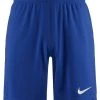 Nike Performance Herren DRY PARK III - Kurze Sporthose - Royal Blue / White