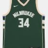 Nike Performance Kinder NBA MILWAUKEE BUCKS ANTETOKOUNMPO GIANNIS ICON SWINGMAN BOYS - NBA-Trikot - Green