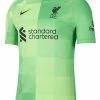 Nike Performance Herren GOALKEEPLiverpool F.C. Stadium Goalkeeper - Vereinsmannschaften - Green Spark/black