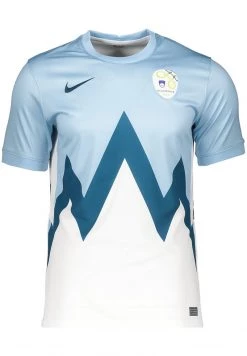 Nike Performance Herren Nationalmannschaft - Blau