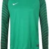 Nike Performance Herren Torwarttrikot - Green