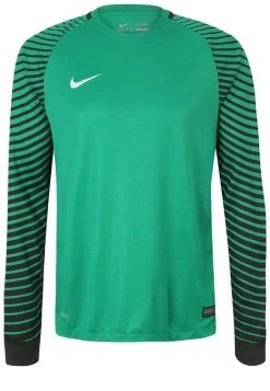Nike Performance Herren Torwarttrikot - Green