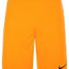 Nike Performance Herren Kurze Sporthose - University Gold / Black