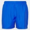 Nike Performance Herren VOLLEY ESSENTIAL - Badeshorts - Game Royal