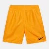 Nike Performance Kinder VOLLEY - Badeshorts - Orange
