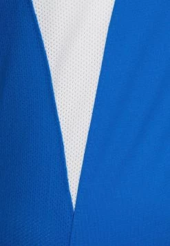 Nike Performance Herren DRI-FIT STRIKER - T-Shirt Print - Royal Blue/white -Angebote Nike Store 363c5215cb914fea8c0684a2a80c68fd