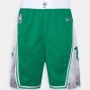 Nike Performance Herren NBA BOSTON CELTICS MOMENTS MIXTAPE SWINGMAN SHORT - Kurze Sporthose - Clover/white