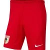 Nike Performance Herren Kurze Sporthose - Rot