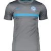 Nike Performance REPLICAS NATIONALTEAMS SLOWAKEI ACD - T-Shirt Print - Graublau | Herren
