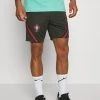Nike Performance Herren PORTUGAL FPF DRY SHORT - Kurze Sporthose - Sequoia/sport Red/sport Red