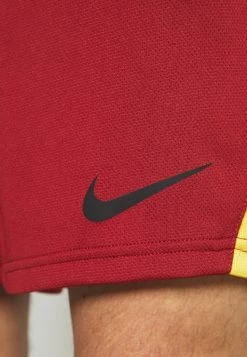 Nike Performance Herren SHORTS - Kurze Sporthose - Dark Cayenne/solar Flare/black -Angebote Nike Store 488fd11d384f4909b49093de9a7b501d