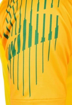 Nike Performance Herren GARDIEN II TORWARTTRIKOT - Torwarttrikot - Yellow -Angebote Nike Store 4acd9d10da684781bf6891dcd8abc5cf