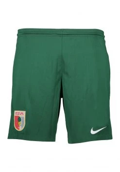 Nike Performance Herren Kurze Sporthose - Gruen