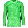 Nike Performance Herren FUSSBALL - TEAMSPORT TEXTIL - TORWARTTRIKOTS GAR - T-Shirt Print - Gruen