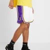 Nike Performance Herren SWINGMAN LAKERS - Kurze Sporthose - White/field Purple