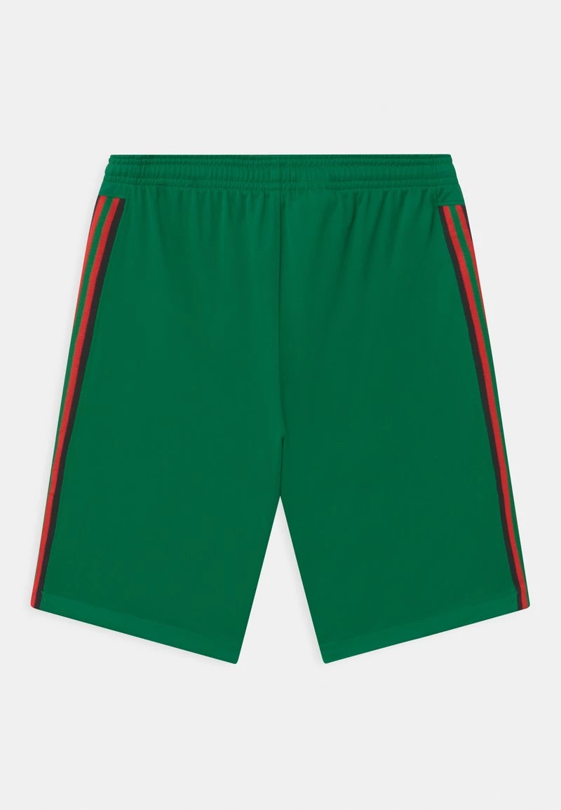 Nike Performance PORTUGAL UNISEX - Kurze Sporthose - Pine Green/metallic Gold 2 Nike Performance PORTUGAL UNISEX - Kurze Sporthose - Pine Green/metallic Gold – Bild 2