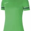Nike Performance Damen ACADEMY - Sport T-shirt - Light Green Spark