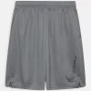 Nike Performance Kinder Kurze Sporthose - Smoke Grey/(black)