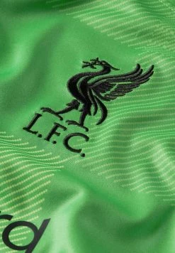 Nike Performance Herren GOALKEEPLiverpool F.C. Stadium Goalkeeper - Vereinsmannschaften - Green Spark/black -Angebote Nike Store 5a002922bc464f81a3d0d23ffc3e83d8
