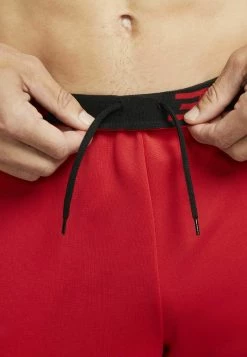 Nike Performance Herren Kurze Sporthose - University Red Black -Angebote Nike Store 5d82ace32e5b48d29b4445fb3c31ca58