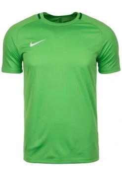 Nike Performance Herren DRY ACADEMY - T-Shirt Print - Green