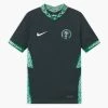 Nike Performance Unisex NFF NIGERIA - Vereinsmannschaften - Seaweed/white