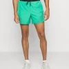 Nike Performance Herren M NK DF RDV FLX STRD - Kurze Sporthose - Roma Green/silver