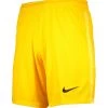 Nike Performance Herren FUSSBALL - TEAMSPORT TEXTIL - TORWARTHOSEN PARK TORWART SHORT - Shorts - Gelbschwarz
