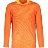 Nike Performance Herren FUSSBALL - TEAMSPORT TEXTIL - TORWARTTRIKOTS GAR - T-Shirt Print - Orange