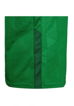 Nike Performance Herren TROPHY IV - Sport T-shirt - Pine Green / Gorge Green / White -Angebote Nike Store 68ca38637b0745a6988e8b52ae2893a7