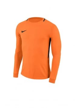 Nike Performance Herren DRY PARK - Torwarttrikot - Orange/schwarz