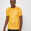Nike Performance Herren FC LIBERO - T-Shirt Print - Light Curry/university Gold/black
