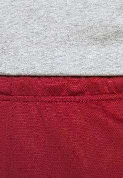 Nike Performance Herren SHORTS - Kurze Sporthose - Dark Cayenne/solar Flare/black -Angebote Nike Store 6f0e8b3c52cc4f38a219f27773c670f6