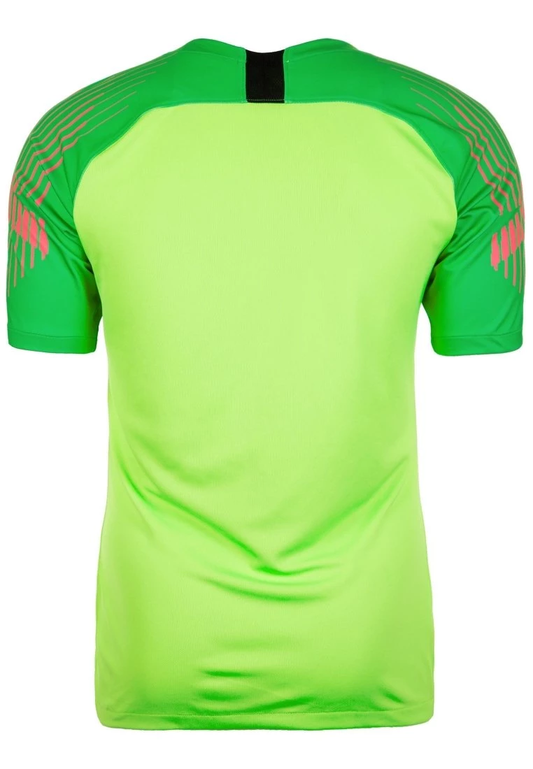 Nike Performance Herren GARDIEN II TORWARTTRIKOT - Torwarttrikot - Light Green 2 Nike Performance Herren GARDIEN II TORWARTTRIKOT - Torwarttrikot - Light Green – Bild 2
