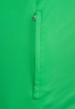 Nike Performance ACADEMY 18 - Trainingsjacke - Green | Herren -Angebote Nike Store 7bf5cf6098ea4eea92753a3be2c01ebd