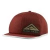 Nike Performance PRO TRAIL UNISEX - Cap - Brown
